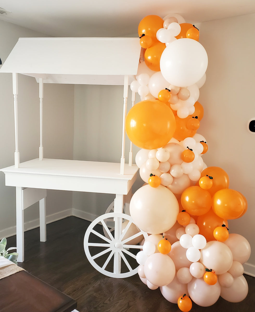 A Cutie Is On The Way!-Balloon Garland